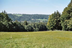 Weidefläche